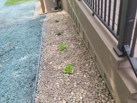 Deck project photo 205