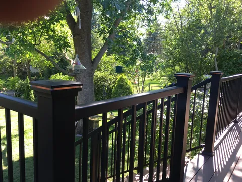 Composite deck with black railing overlooking a wooded backyard