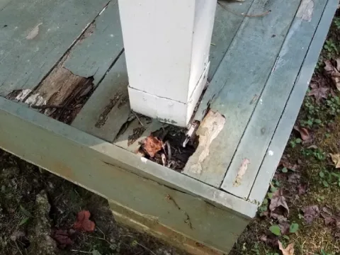 replace railings project photo 4